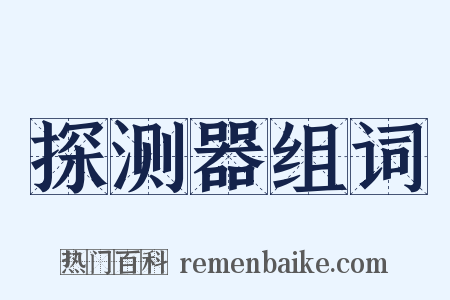 探测器组词是什么意思的图片